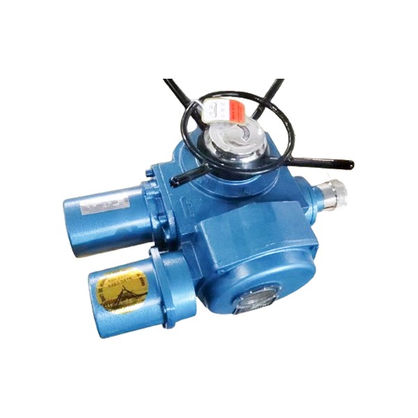 電動(dòng)執(zhí)行機(jī)構(gòu)